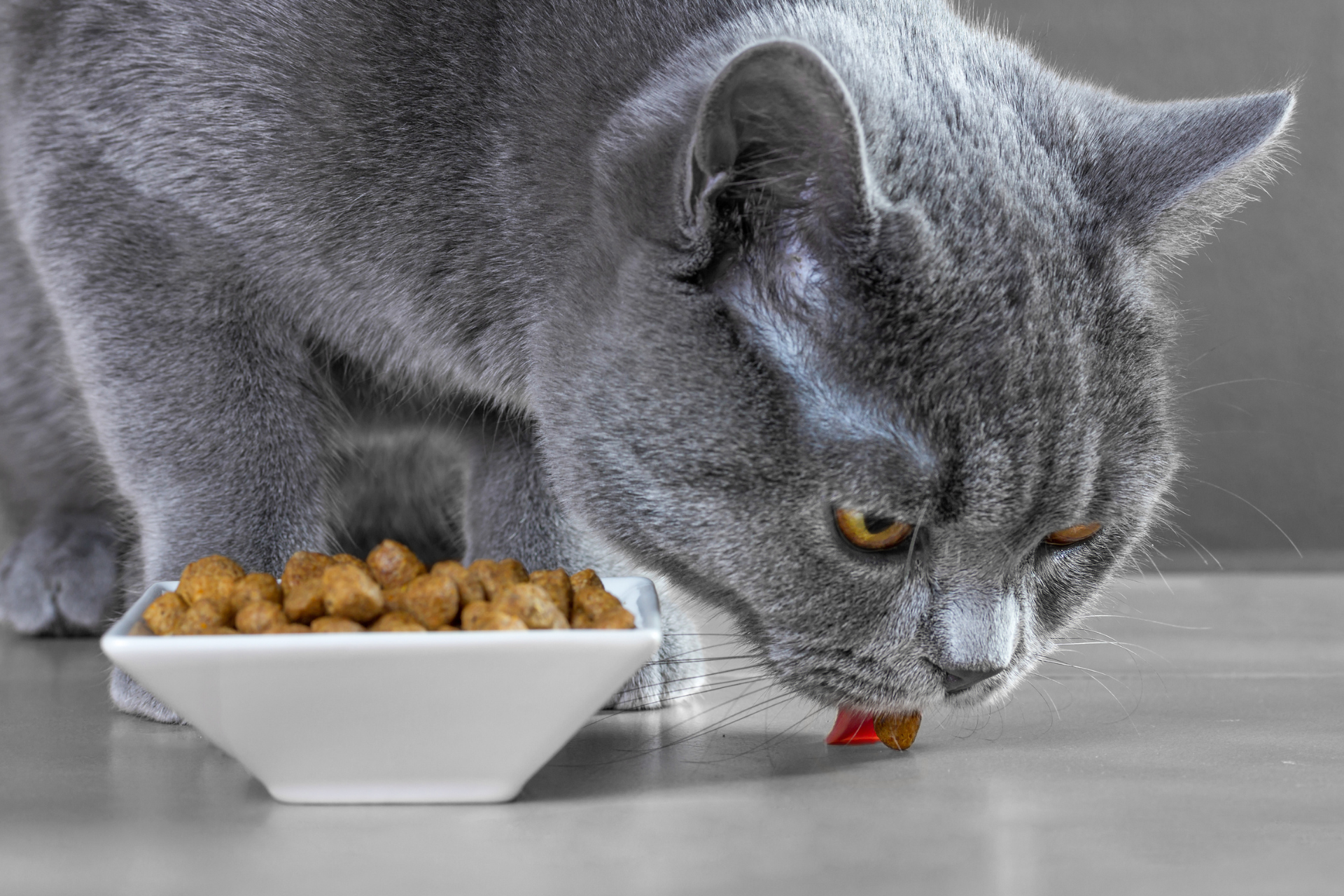 Design ohne Titel (48)