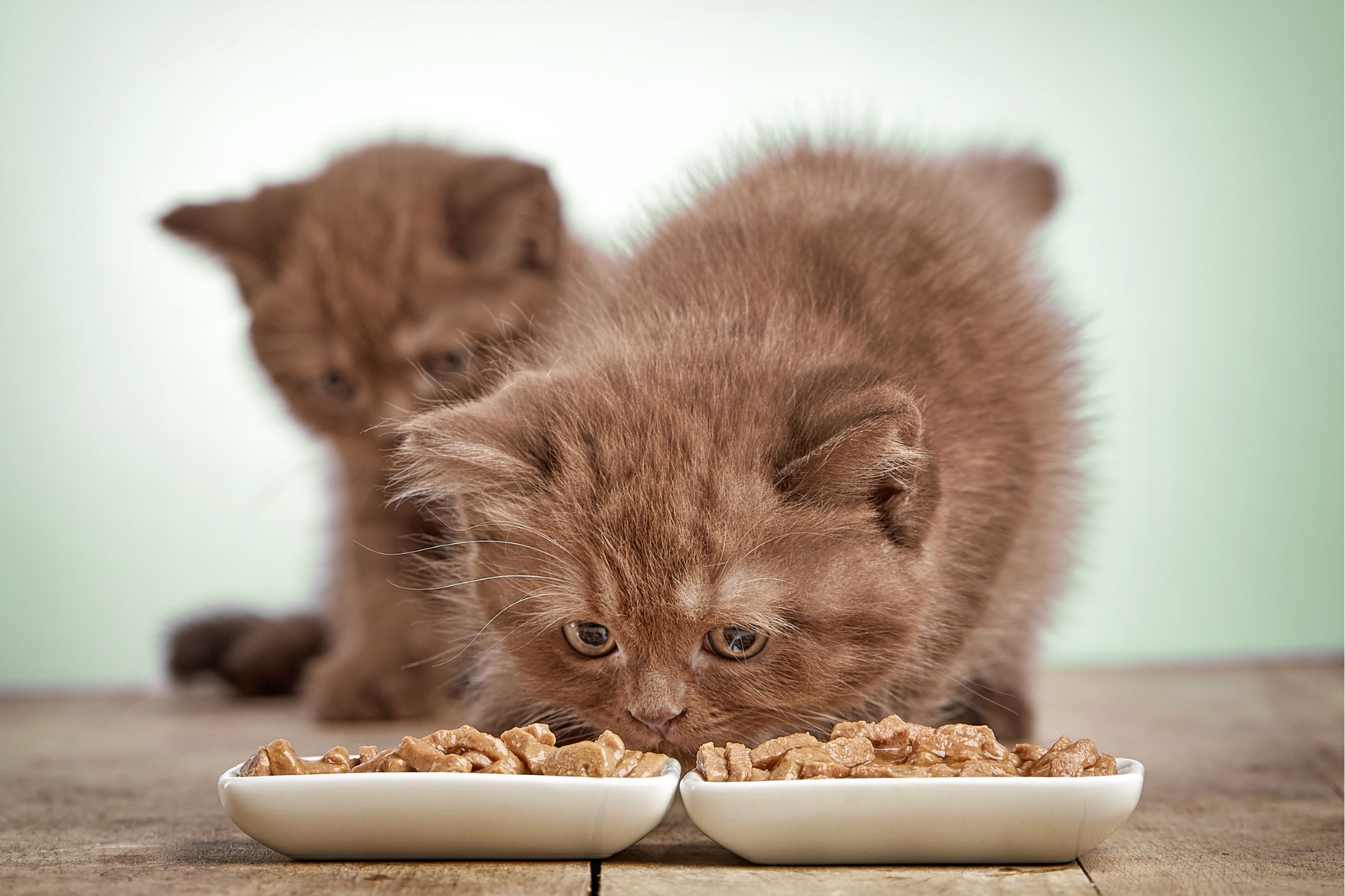 Design ohne Titel (49)