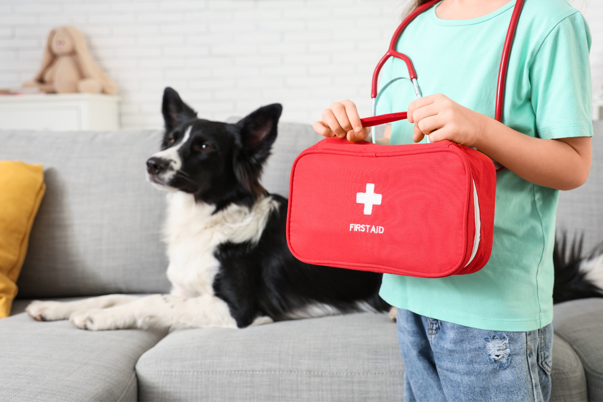 Design ohne Titel (58)