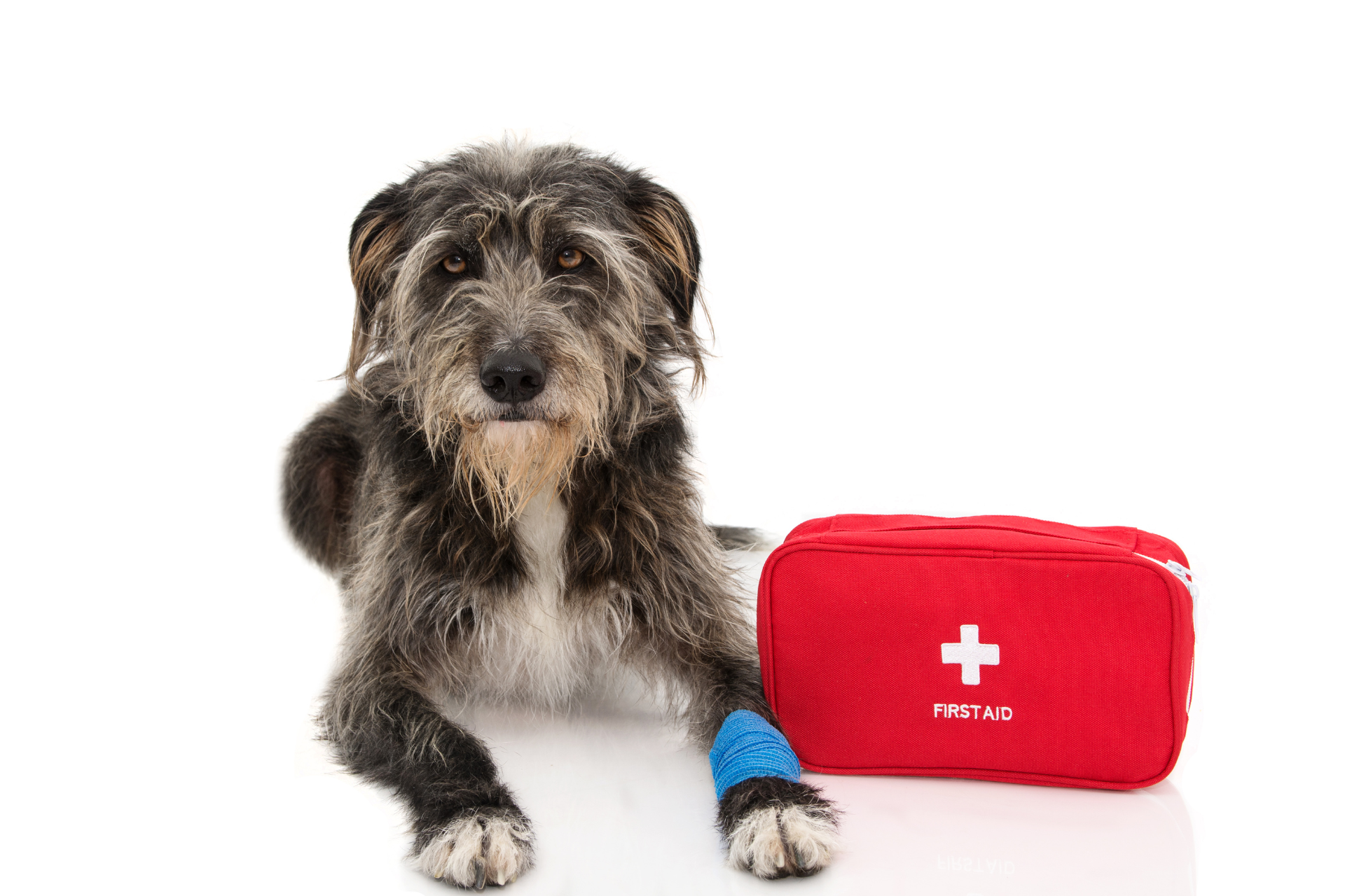 Design ohne Titel (59)