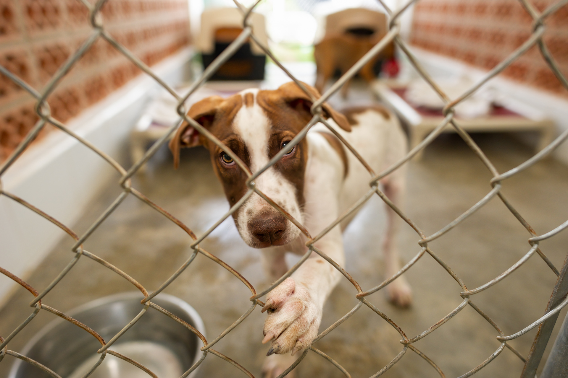 Design ohne Titel (65)