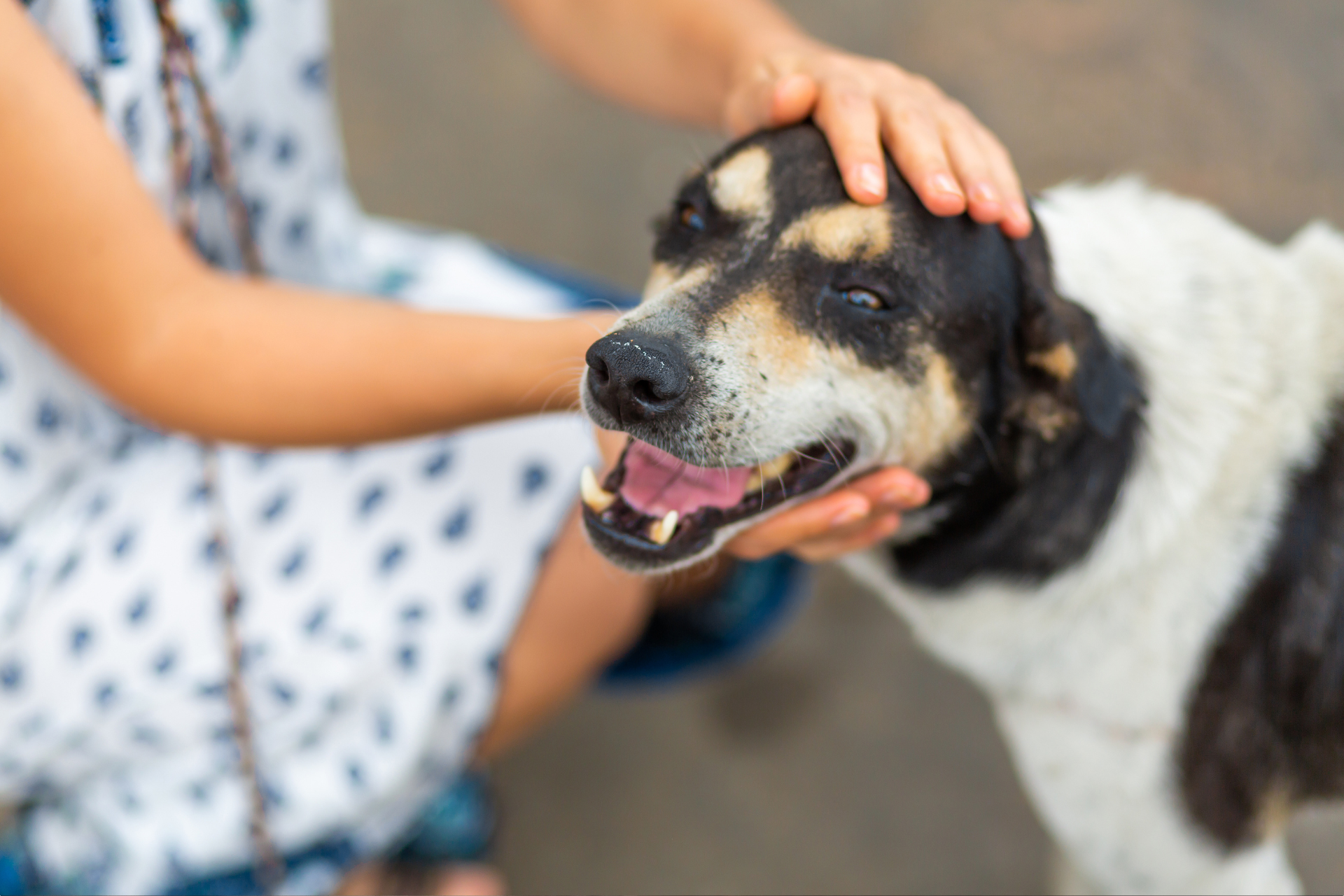 Design ohne Titel (66)