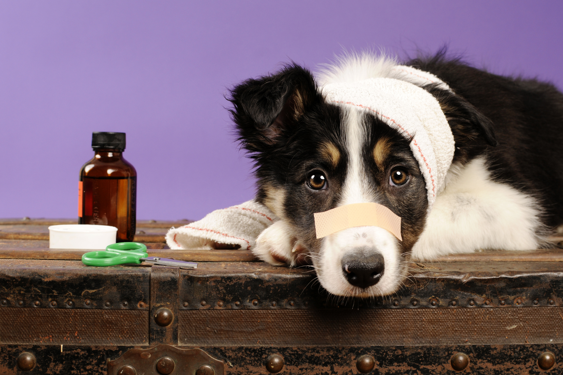 Design ohne Titel (67)