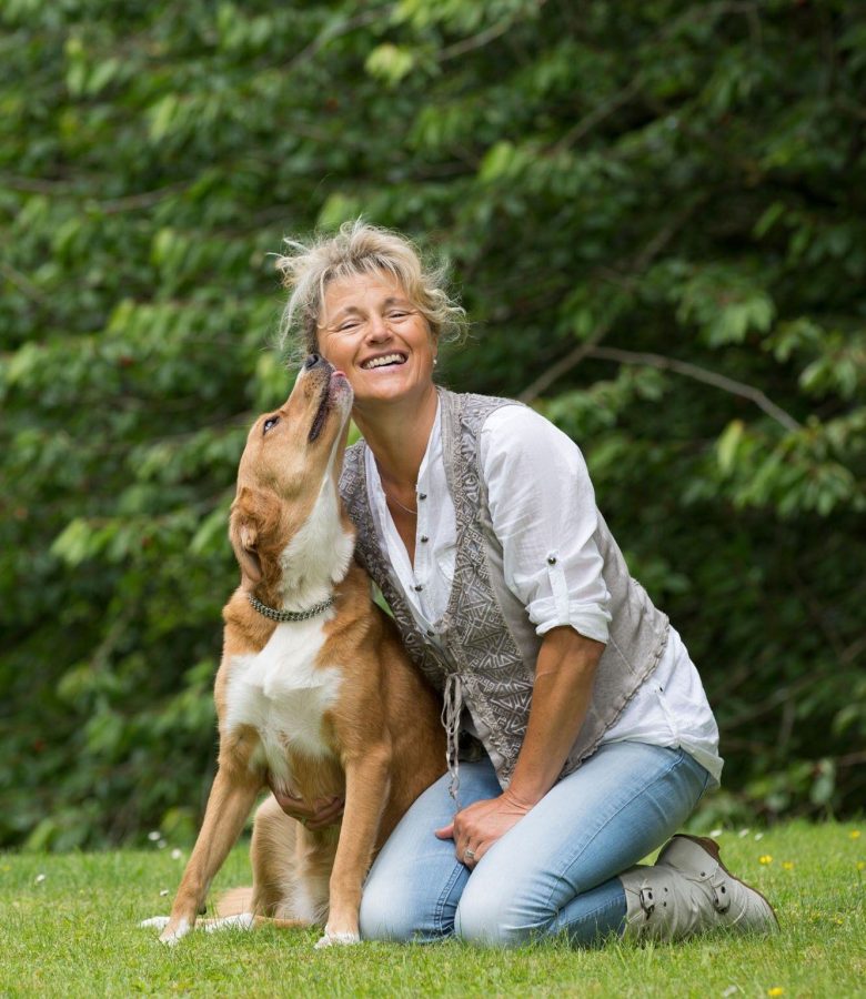 559221279_2740889572763957_4968537046118018644_n