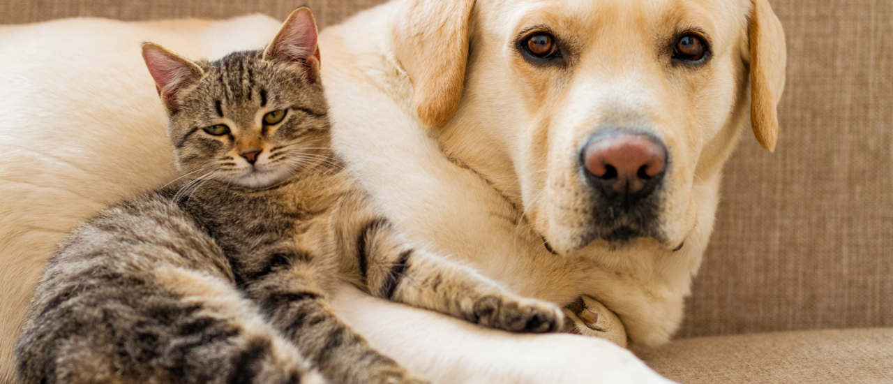 Design ohne Titel (70)